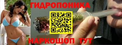 соль ск Гусев