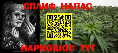 стафф Гусиноозёрск