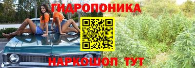 соль ск Гусев