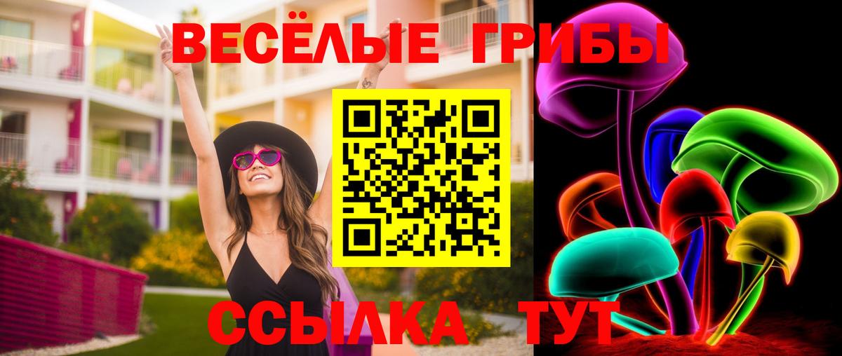 Псилоцибиновые грибы Cubensis Ирбит